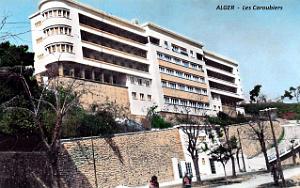 Alger - Caroubiers